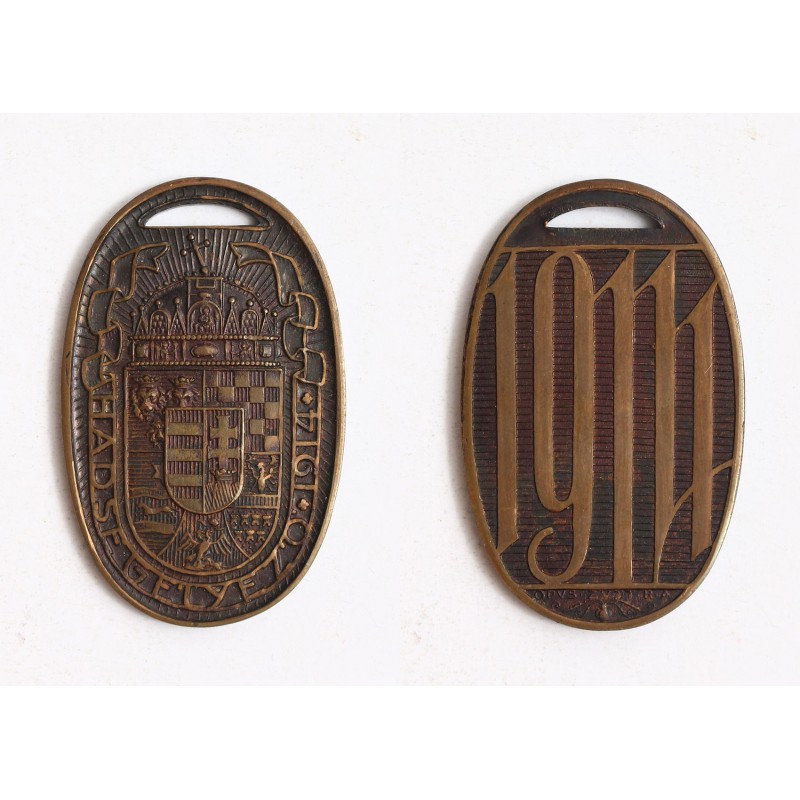 Hadsegélyező ovális jelvény 1914 bronz